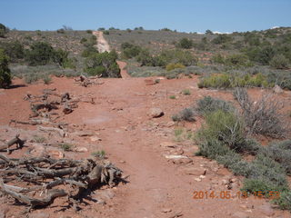 177 8md. Canyonlands National Park - Murphy trail run