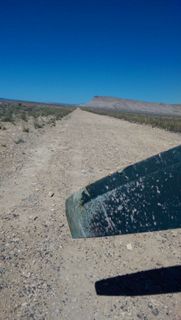 137 8me. my cell phone pictures of damage