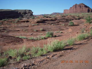 48 8mf. Potash Road drive