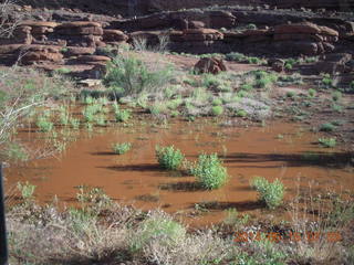 55 8mf. Potash Road drive