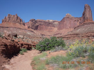 124 8mf. Canyonlands National Park - Lathrop hike