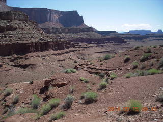 132 8mf. Canyonlands National Park - Lathrop hike