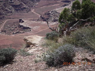 174 8mf. Canyonlands National Park - Lathrop hike