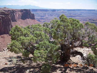 177 8mf. Canyonlands National Park - Lathrop hike