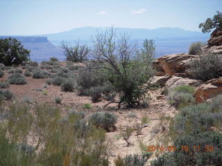 183 8mf. Canyonlands National Park - Lathrop hike