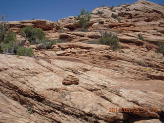 184 8mf. Canyonlands National Park - Lathrop hike