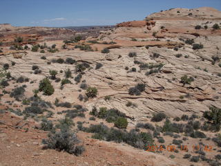 189 8mf. Canyonlands National Park - Lathrop hike