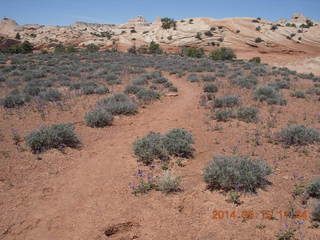 195 8mf. Canyonlands National Park - Lathrop hike