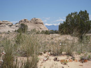 200 8mf. Canyonlands National Park - Lathrop hike