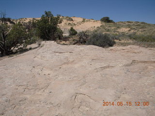 202 8mf. Canyonlands National Park - Lathrop hike