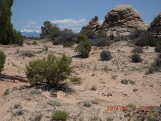 205 8mf. Canyonlands National Park - Lathrop hike