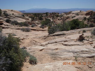 209 8mf. Canyonlands National Park - Lathrop hike