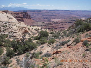 213 8mf. Canyonlands National Park - Lathrop hike