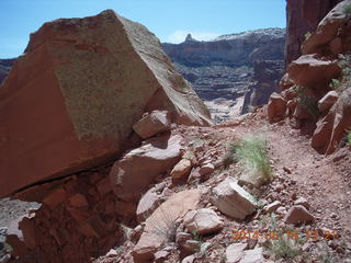 226 8mf. Canyonlands National Park - Lathrop hike