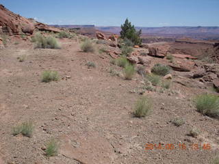 234 8mf. Canyonlands National Park - Lathrop hike