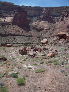 235 8mf. Canyonlands National Park - Lathrop hike