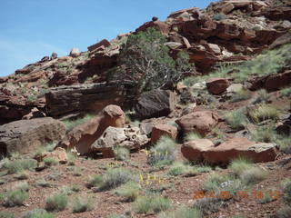 246 8mf. Canyonlands National Park - Lathrop hike