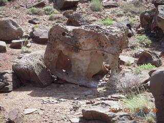 261 8mf. Canyonlands National Park - Lathrop hike