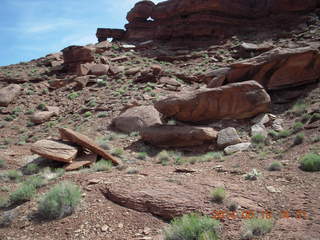 264 8mf. Canyonlands National Park - Lathrop hike