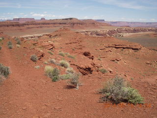 266 8mf. Canyonlands National Park - Lathrop hike