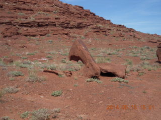 306 8mf. Canyonlands National Park - White Rim Road drive