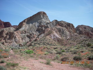 42 8mh. Onion Creek drive