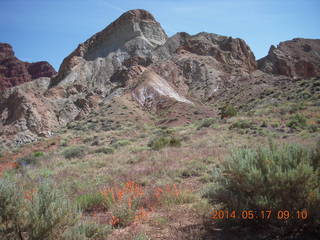 43 8mh. Onion Creek drive