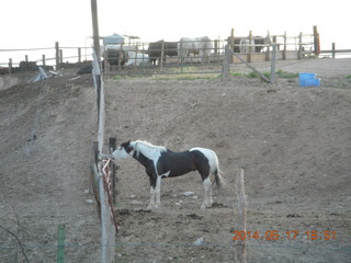 189 8mh. Mack Mesa drive - horse