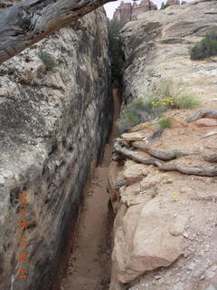 74 8mj. Canyonlands National Park - Needles - Elephant Hill + Chesler Park hike