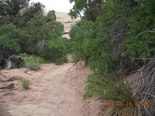75 8mj. Canyonlands National Park - Needles - Elephant Hill + Chesler Park hike