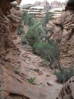 81 8mj. Canyonlands National Park - Needles - Elephant Hill + Chesler Park hike