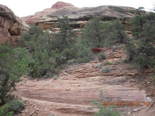 82 8mj. Canyonlands National Park - Needles - Elephant Hill + Chesler Park hike