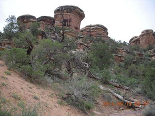 92 8mj. Canyonlands National Park - Needles - Elephant Hill + Chesler Park hike