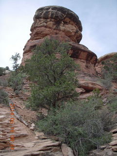 98 8mj. Canyonlands National Park - Needles - Elephant Hill + Chesler Park hike