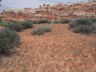 122 8mj. Canyonlands National Park - Needles - Elephant Hill + Chesler Park hike