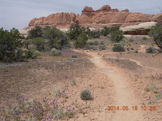 132 8mj. Canyonlands National Park - Needles - Elephant Hill + Chesler Park hike