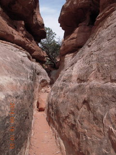 136 8mj. Canyonlands National Park - Needles - Elephant Hill + Chesler Park hike