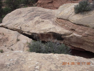 156 8mj. Canyonlands National Park - Needles - Elephant Hill + Chesler Park hike
