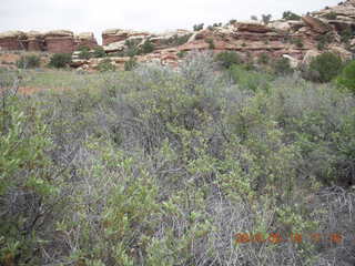 164 8mj. Canyonlands National Park - Needles - Elephant Hill + Chesler Park hike