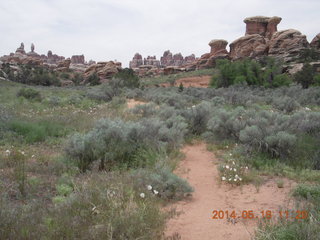 170 8mj. Canyonlands National Park - Needles - Elephant Hill + Chesler Park hike