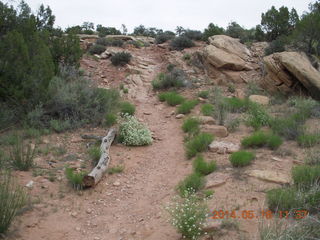 185 8mj. Canyonlands National Park - Needles - Elephant Hill + Chesler Park hike