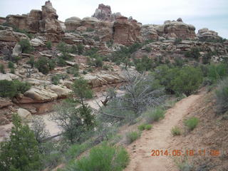 186 8mj. Canyonlands National Park - Needles - Elephant Hill + Chesler Park hike