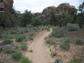 190 8mj. Canyonlands National Park - Needles - Elephant Hill + Chesler Park hike