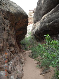 213 8mj. Canyonlands National Park - Needles - Elephant Hill + Chesler Park hike