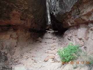217 8mj. Canyonlands National Park - Needles - Elephant Hill + Chesler Park hike - slot or fissure