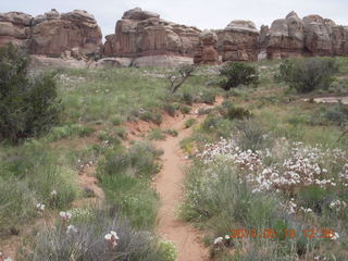254 8mj. Canyonlands National Park - Needles - Elephant Hill + Chesler Park hike