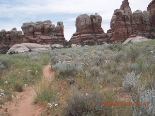 257 8mj. Canyonlands National Park - Needles - Elephant Hill + Chesler Park hike