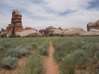 262 8mj. Canyonlands National Park - Needles - Elephant Hill + Chesler Park hike