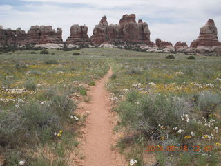 265 8mj. Canyonlands National Park - Needles - Elephant Hill + Chesler Park hike