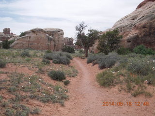 271 8mj. Canyonlands National Park - Needles - Elephant Hill + Chesler Park hike